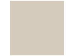 Anatolia 120x120 Monoforma Oasis Rektifiye Silk