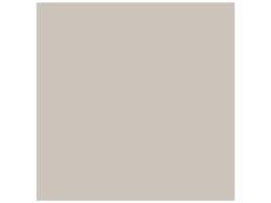 Anatolia 120x120 Monoforma Storm Rektifiye Parlak
