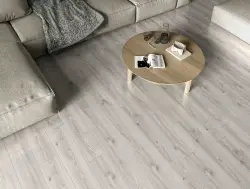 ÇAMSAN ORDU Zen Base Burgaz 8 mm Laminat Parke