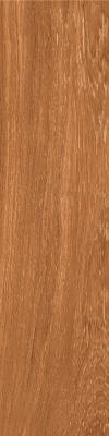 Ege Seramik 15x60 Missisipi Meşe