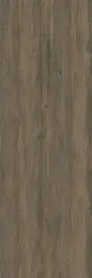 Çanakkale Seramik 100x300 EC Plank BG 110 Mat Porselen Plaka