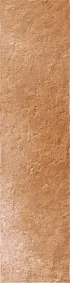 Çanakkale Seramik 7,5x30 Terra Arte Parlak SırlıGranıt