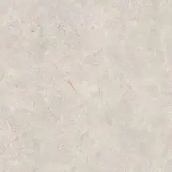 Çanakkale Seramik 59x59 Capella Mat Kemik Sırlı Granit