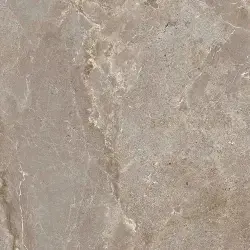 Çanakkale Seramik 60x60 Salvia Sütlü Kahve Parlak Sırlı Granit
