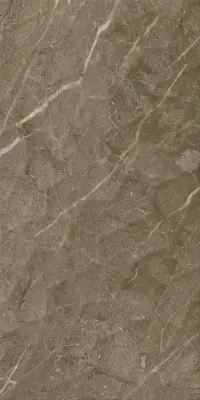 Çanakkale Seramik 30x60 Alegra Kahve Parlak Dekor