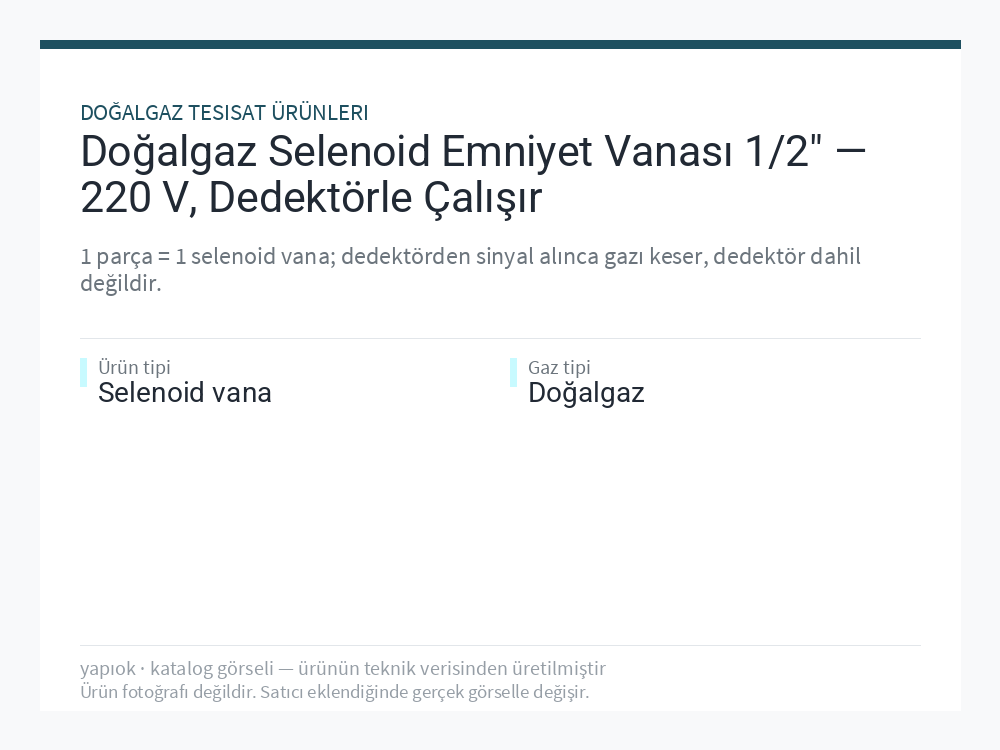 Doğalgaz Selenoid Emniyet Vanası 1/2" — 220 V, Dedektörle Çalışır