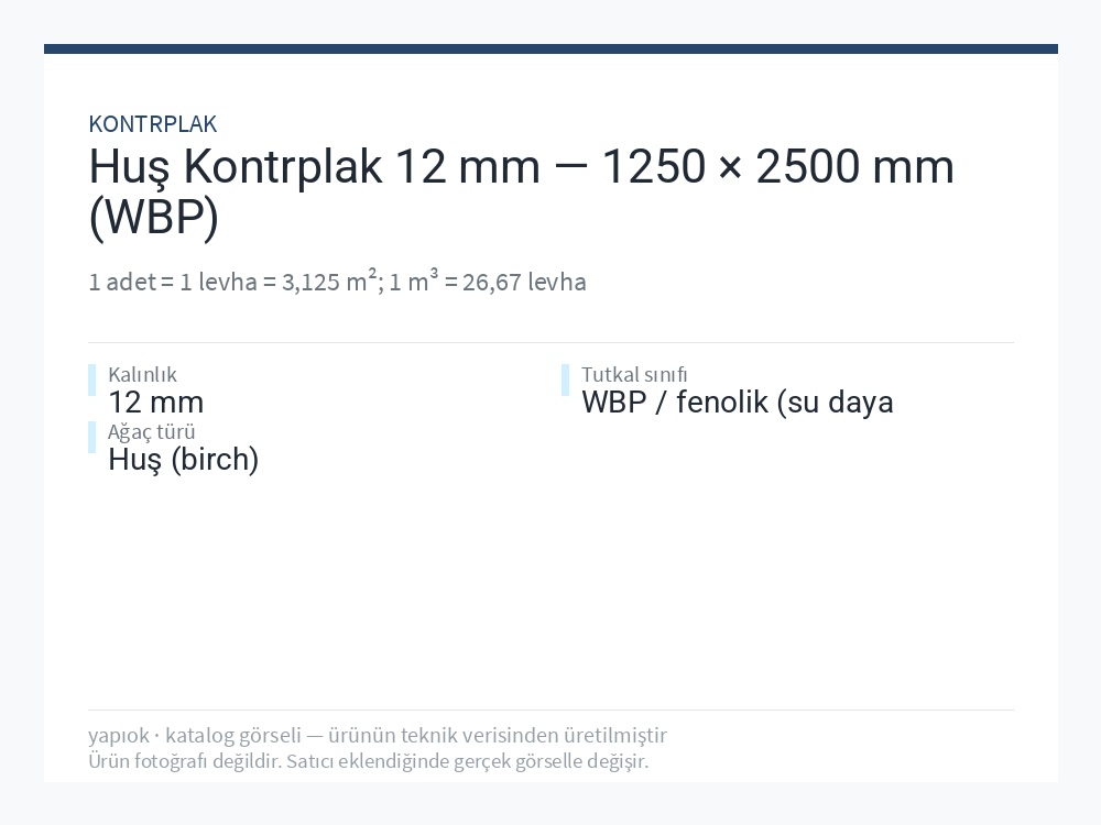 Huş Kontrplak 12 mm — 1250 × 2500 mm (WBP)