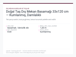 Doğal Taş Dış Mekan Basamağı 33x120 cm — Kumlanmış, Damlalıklı