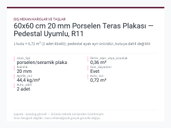60x60 cm 20 mm Porselen Teras Plakası — Pedestal Uyumlu, R11