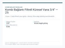 Kombi Bağlantı Filtreli Küresel Vana 3/4" — 2li