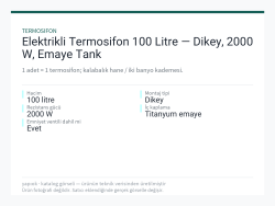 Elektrikli Termosifon 100 Litre — Dikey, 2000 W, Emaye Tank