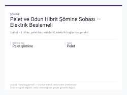 Pelet ve Odun Hibrit Şömine Sobası — Elektrik Beslemeli