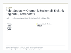 Pelet Sobası — Otomatik Beslemeli, Elektrik Bağlantılı, Termostatlı