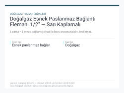 Doğalgaz Esnek Paslanmaz Bağlantı Elemanı 1/2" — Sarı Kaplamalı