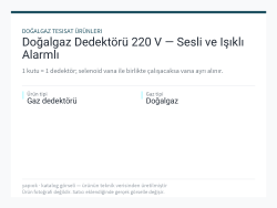 Doğalgaz Dedektörü 220 V — Sesli ve Işıklı Alarmlı