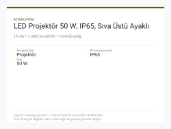LED Projektör 50 W, IP65, Sıva Üstü Ayaklı