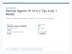 Otomat Sigorta 1P 16 A C Tipi, 6 kA, 1 Modül