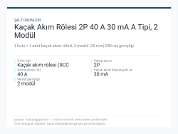 Kaçak Akım Rölesi 2P 40 A 30 mA A Tipi, 2 Modül