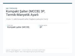 Kompakt Şalter (MCCB) 3P, Termik-Manyetik Ayarlı