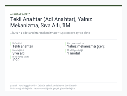 Tekli Anahtar (Adi Anahtar), Yalnız Mekanizma, Sıva Altı, 1M