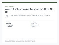 Vavien Anahtar, Yalnız Mekanizma, Sıva Altı, 1M