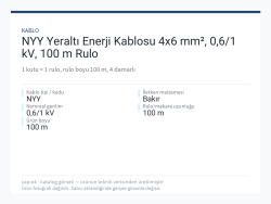 NYY Yeraltı Enerji Kablosu 4x6 mm², 0,6/1 kV, 100 m Rulo