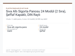 Sıva Altı Sigorta Panosu 24 Modül (2 Sıra), Şeffaf Kapaklı, DIN Raylı