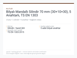 Bilyalı Mandallı Silindir 70 mm (30+10+30), 5 Anahtarlı, TS EN 1303