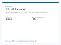 Elektrikli Havlupan