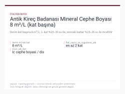 Antik Kireç Badanası Mineral Cephe Boyası 8 m²/L (kat başına)
