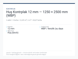 Huş Kontrplak 12 mm — 1250 × 2500 mm (WBP)