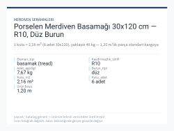 Porselen Merdiven Basamağı 30x120 cm — R10, Düz Burun