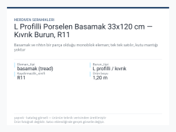 L Profilli Porselen Basamak 33x120 cm — Kıvrık Burun, R11