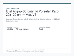 ithal-ahsap-gorunumlu-porselen-karo-20x120-cm-mat-v3