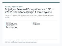 Doğalgaz Selenoid Emniyet Vanası 1/2" — 220 V, Dedektörle Çalışır, 1 mm veya inç