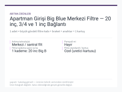 Apartman Girişi Big Blue Merkezi Filtre — 20 inç, 3/4 ve 1 inç Bağlantı