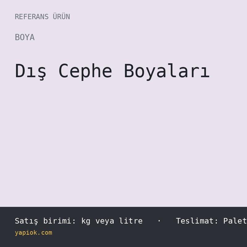Silikonlu Dis Cephe Boyasi 20 kg