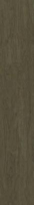 Yurtbay Seramik Timewood Honey 20x120
