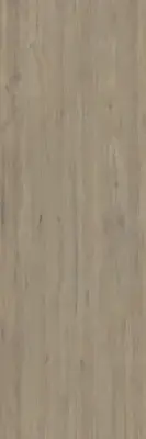 Çanakkale Seramik EC Plank BG 104 Mat Porselen Plaka 100x300