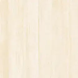 Çanakkale Seramik Earth Travertine Mat Fildişi Porselen Karo 120x120