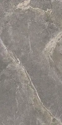 Çanakkale Seramik Salvia Gri Parlak Duvar Karosu 30x60