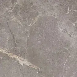 Çanakkale Seramik Salvia Gri Parlak Sırlı Granit 45x45