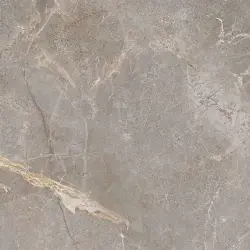 Çanakkale Seramik Salvia Taupe Parlak Sırlı Granit 45x45