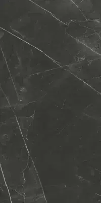 Çanakkale Seramik Sandra Parlak Siyah Duvar Karosu 40x80