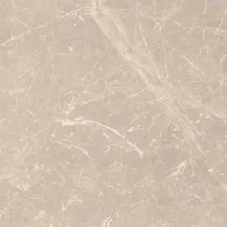 Çanakkale Seramik Adore Parlak Vizon Yer Karosu 60x60