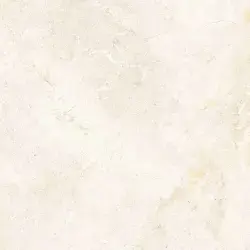 Çanakkale Seramik Salvia Parlak Kemik Sırlı Granit 60x60