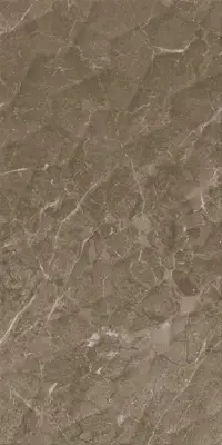 Çanakkale Seramik Alegra Parlak Kahve Dekor 30x60