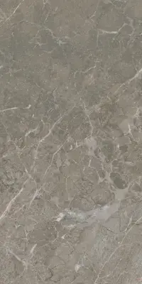 Çanakkale Seramik Alegra Parlak Gri Duvar Karosu 30x60