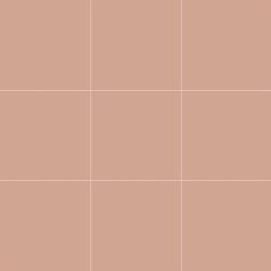 VitrA 10x10, Color 2.0, Fon, Somon, RAL 050 70 20 Somon