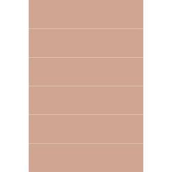 VitrA 5x20, Color 2.0, Fon, Somon, RAL 050 70 20 Somon